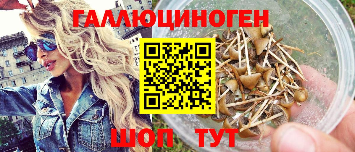 Псилоцибиновые грибы мицелий  Вход с VPN  Волоколамск  Галлюциногенные грибы GOLDEN TEACHER 