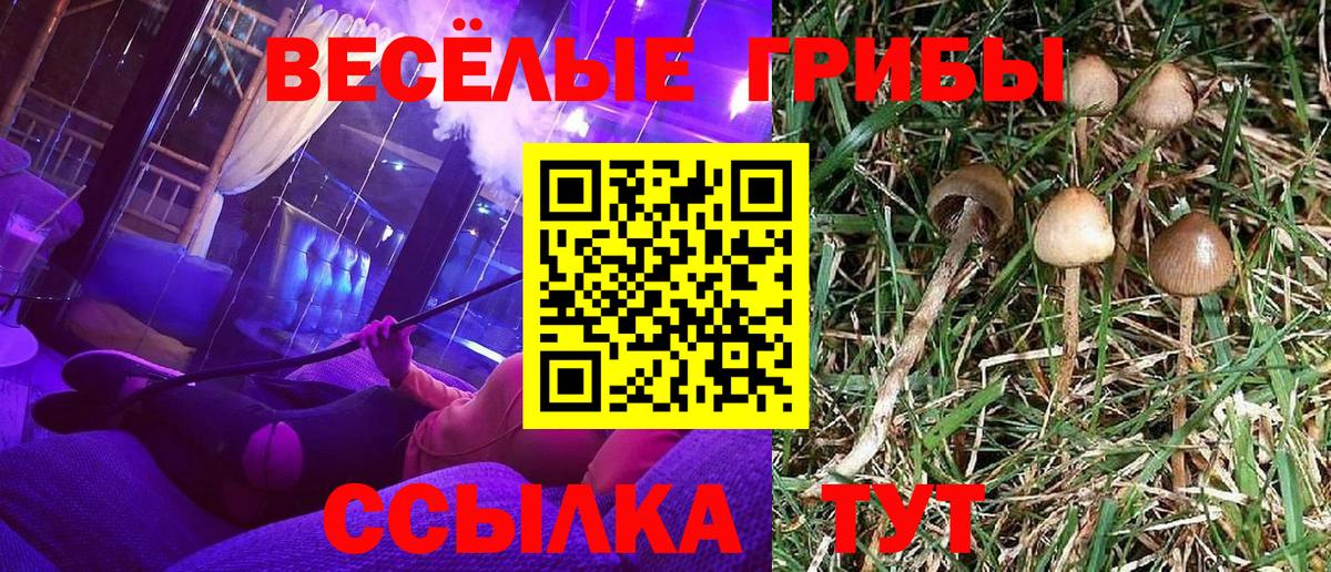 Псилоцибиновые грибы MAGIC MUSHROOMS Волоколамск