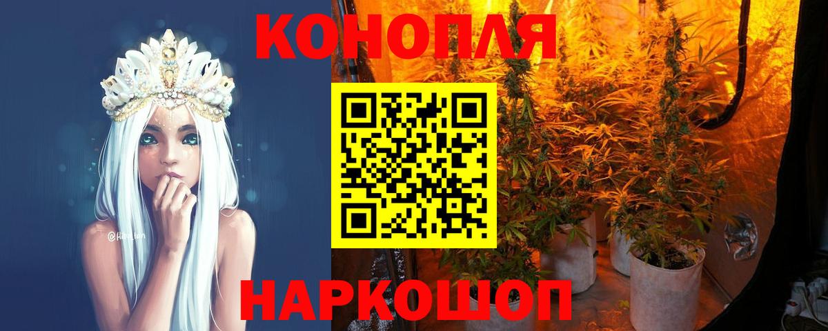 A-PVP Волоколамск